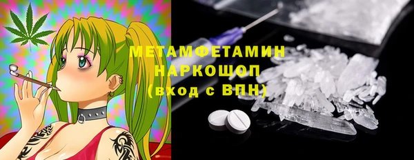 PSILOCYBIN Белокуриха