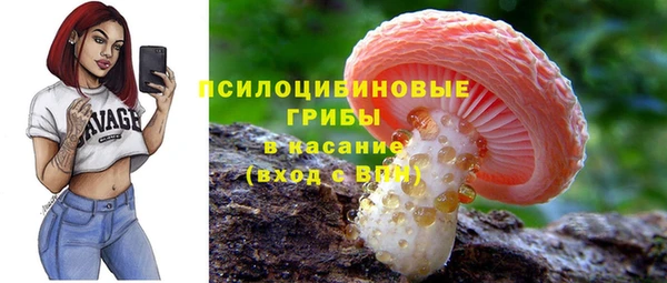 PSILOCYBIN Белокуриха